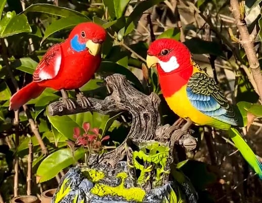 Elektrické ovládání hlasových papoušků na baterie🦜