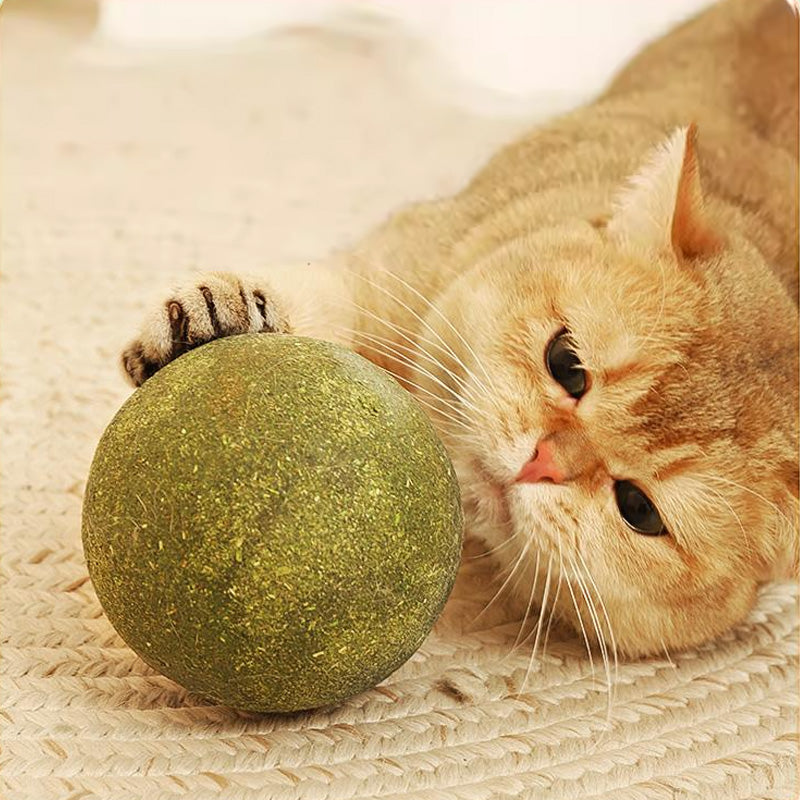 Giant Catnip Ball | Spraw, by Twój kot ją pokochał!