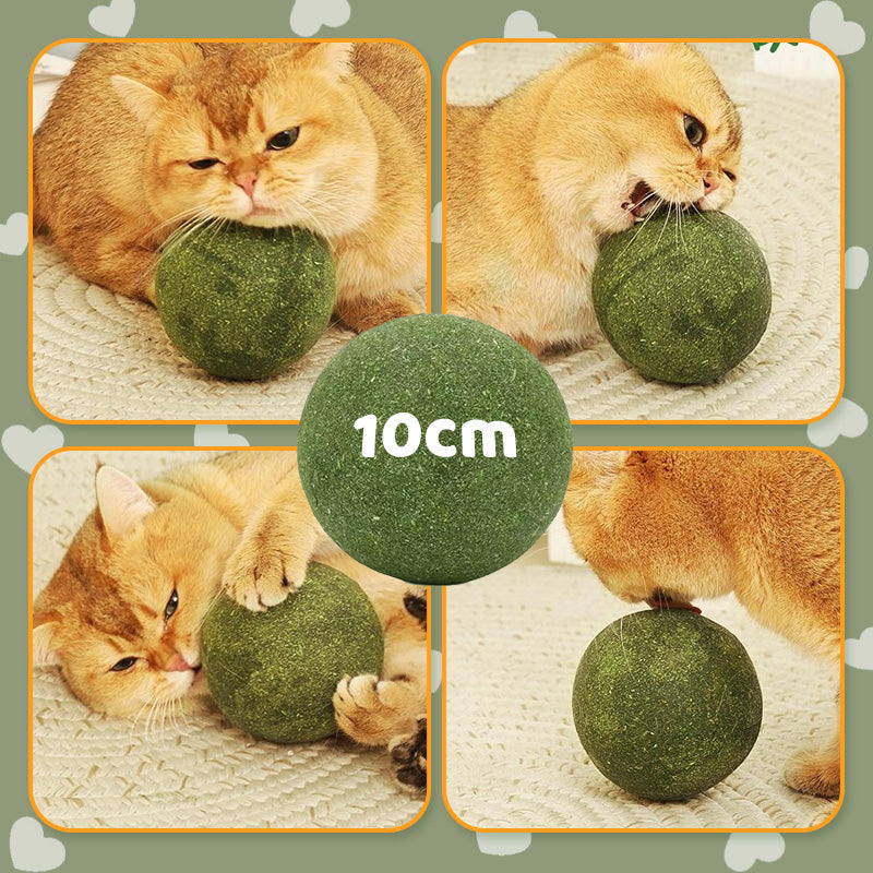 Giant Catnip Ball | Spraw, by Twój kot ją pokochał!